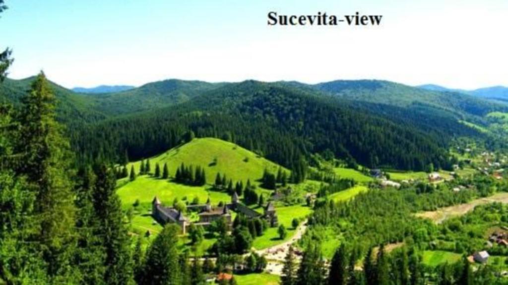 Pensiunea Letitia Sucevita Ngoại thất bức ảnh